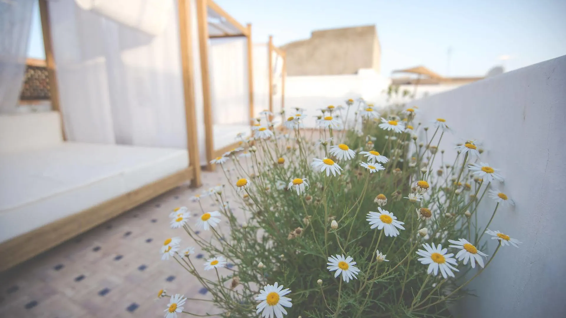 Hotel & Spa Riad El Walaa Marrakesh