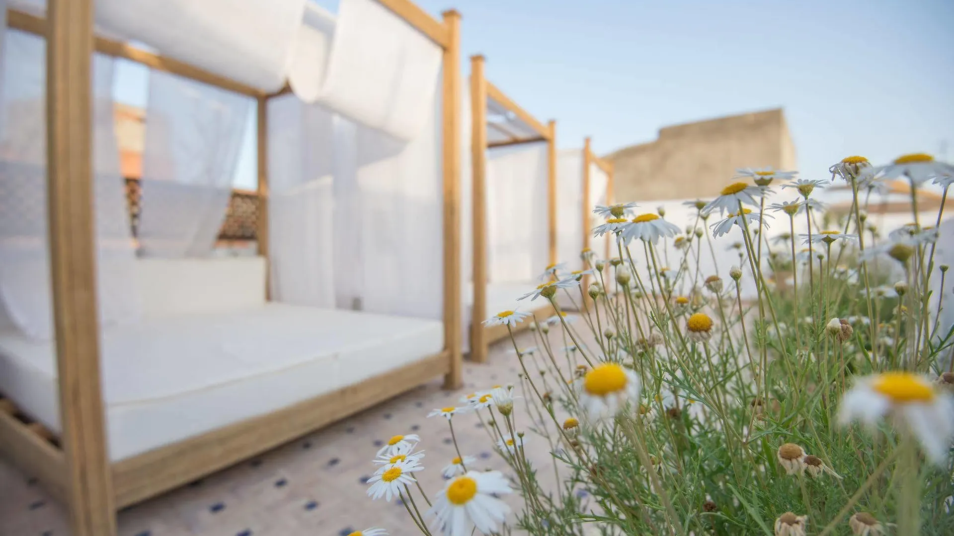 Hotel & Spa Riad El Walaa Marrakesh 4*,  Morocco